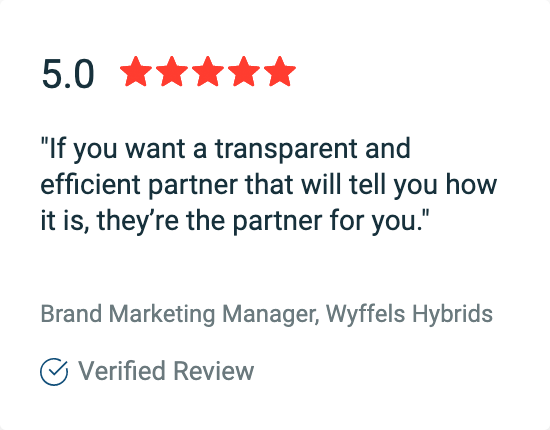 Five-star review from Wyffels for ExpressionEngine website