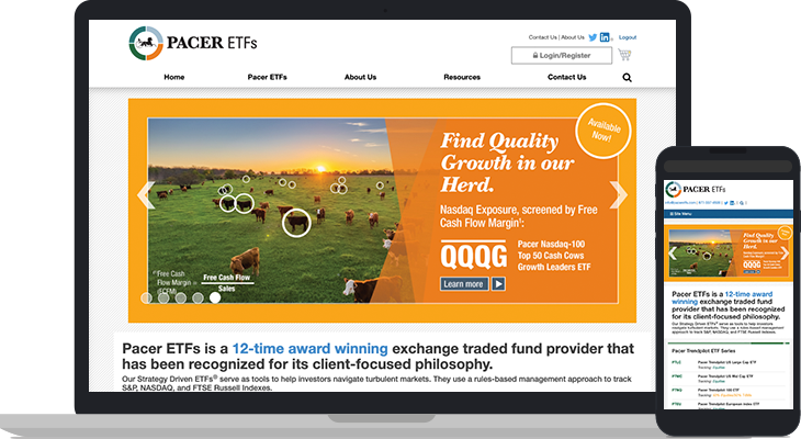 Pacer Financial Website Case Study